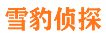 营山市私家侦探